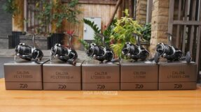 Daiwa 25 Caldia LT