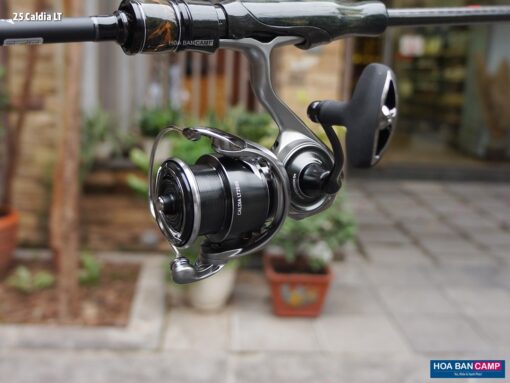 Daiwa 25 Caldia LT