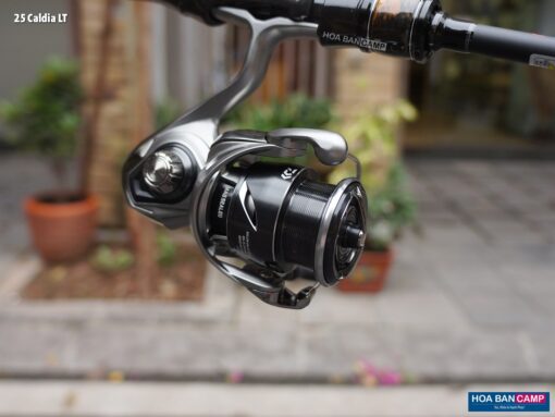 Daiwa 25 Caldia LT