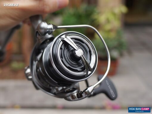 Daiwa 25 Caldia LT