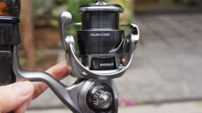 Daiwa 25 Caldia LT