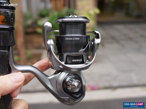 Daiwa 25 Caldia LT