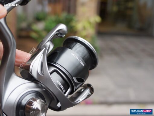 Daiwa 25 Caldia LT