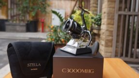 May Shimano Stella 2022 JDM