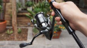 May Shimano Stella 2022 JDM