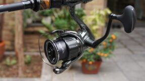 May Shimano Stella 2022 JDM