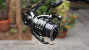 May Shimano Stella 2022 JDM