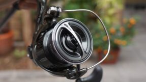 May Shimano Stella 2022 JDM