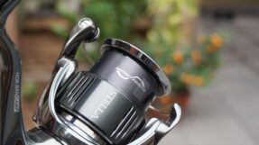 May Shimano Stella 2022 JDM