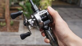 Shimano Calcutta Conquest BFS 2023