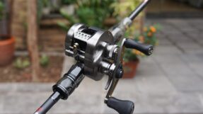 Shimano Calcutta Conquest BFS 2023