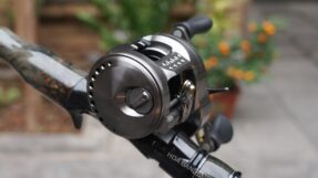 Shimano Calcutta Conquest BFS 2023