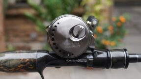 Shimano Calcutta Conquest BFS 2023