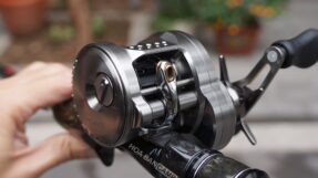 Shimano Calcutta Conquest BFS 2023