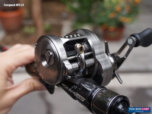 Shimano Calcutta Conquest BFS 2023