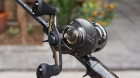 Shimano Calcutta Conquest BFS 2023