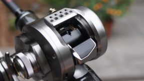 Shimano Calcutta Conquest BFS 2023