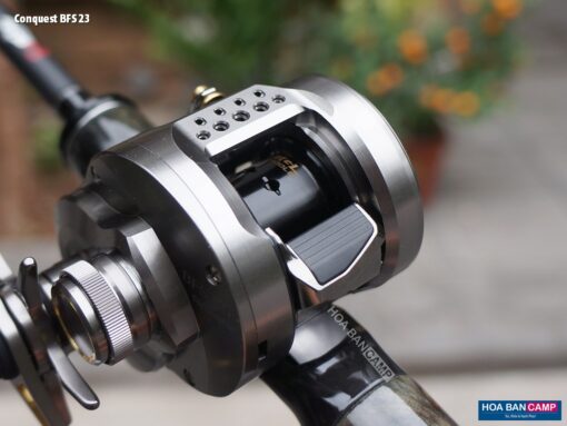 Shimano Calcutta Conquest BFS 2023