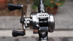 Shimano Calcutta Conquest BFS 2023