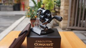 Shimano Calcutta Conquest Shallow Edition 2024