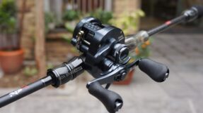 Shimano Calcutta Conquest Shallow Edition 2024