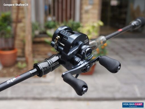 Shimano Calcutta Conquest Shallow Edition 2024