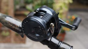 Shimano Calcutta Conquest Shallow Edition 2024