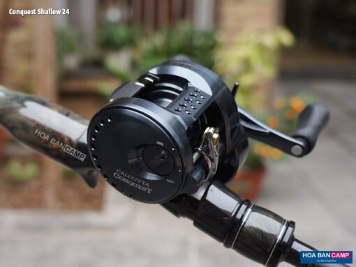 Shimano Calcutta Conquest Shallow Edition 2024