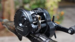 Shimano Calcutta Conquest Shallow Edition 2024