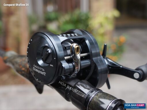 Shimano Calcutta Conquest Shallow Edition 2024