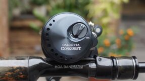 Shimano Calcutta Conquest Shallow Edition 2024