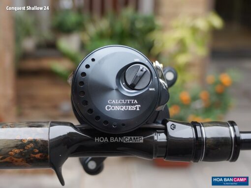 Shimano Calcutta Conquest Shallow Edition 2024