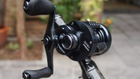 Shimano Calcutta Conquest Shallow Edition 2024