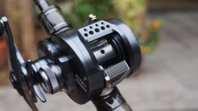 Shimano Calcutta Conquest Shallow Edition 2024