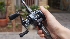 Shimano Calcutta Conquest Shallow Edition 2024