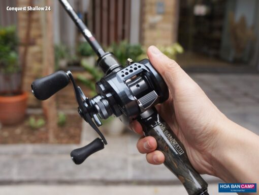 Shimano Calcutta Conquest Shallow Edition 2024