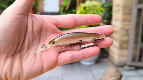 NOEBY 9434 Minnow 6g photo 1