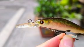 NOEBY 9434 Minnow 6g photo 2