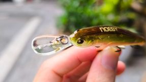 NOEBY 9434 Minnow 6g photo 3