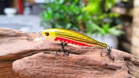 NOEBY 9435 Minnow 5g5 NF001
