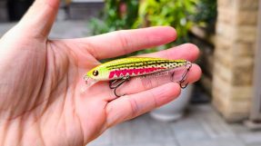 NOEBY 9435 Minnow 5g5 photo 1