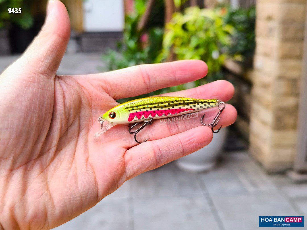 NOEBY 9435 Minnow 5g5 photo 1