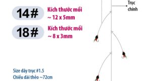 Theo muong thieu 3 luoi buoc san