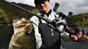 Daiwa Steez Limited CT SV TW 2025