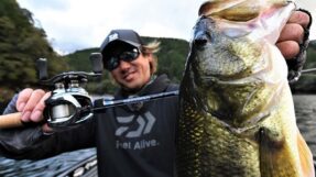 Daiwa Steez Limited CT SV TW 2025