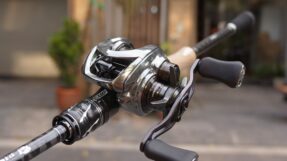 Daiwa Steez Limited CT SV TW 2025