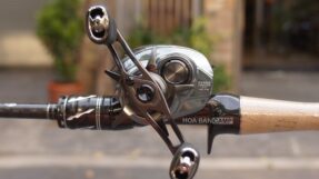 Daiwa Steez Limited CT SV TW 2025