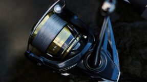 May Shimano Ultegra 2025