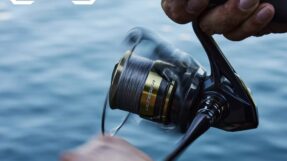 May Shimano Ultegra 2025