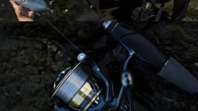 May Shimano Ultegra 2025